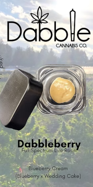 Dabble Juice Box 20mg four pack