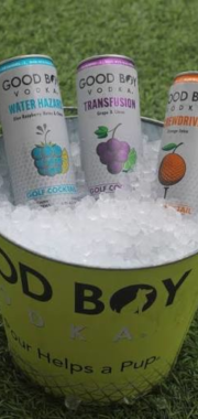 Goodboy Transfusion 6pack